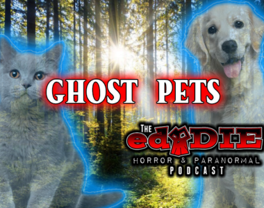 Episode 86: Ghosts Pets